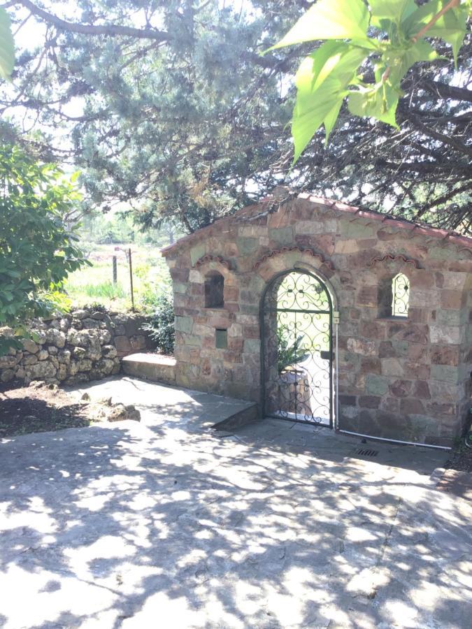 Villa San Marco Chambre D Hotes Lorgues Eksteriør bilde